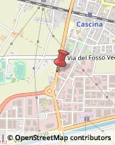 Via Nazario Sauro, 109,56021Cascina