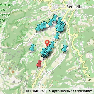 Mappa Località Altovito, 50066 Reggello FI, Italia (0.73103)