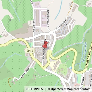 Mappa Via rosselli fratelli 54, 50026 San Casciano in Val di Pesa, Firenze (Toscana)