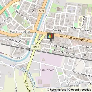 Reumatologia - Medici Specialisti Pontedera,56012Pisa