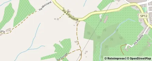 Mappa San Casciano in Val di Pesa