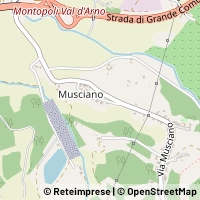 地图 Montopoli in Val d'Arno
