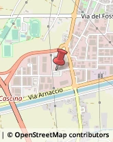 Viale Europa, 12,56021Cascina