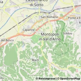 Mappa Montopoli in Val d'Arno