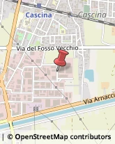 Viale Campania, 3/A,56021Cascina