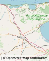 Infermieri ed Assistenza Domiciliare Carapelle,71041Foggia