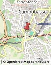 Viale Elena, 60,86100Campobasso