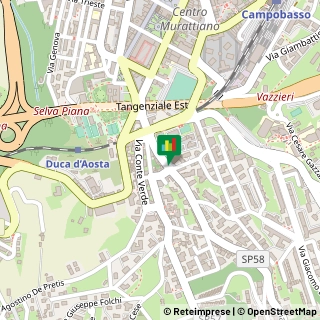 Viale Principe di Piemonte, 33,86100Campobasso