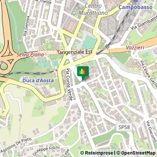 Viale Principe di Piemonte, 33,86100Campobasso