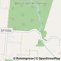 Map Nettuno