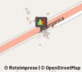 Enologia Macchine e Prodotti - Dettaglio Foggia,71121Foggia