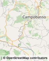 Estetiste Ripalimosani,86025Campobasso