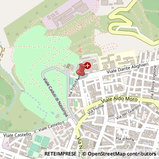 Mappa Via Giuseppe Fiorelli, 40, 71036 Lucera, Foggia (Puglia)