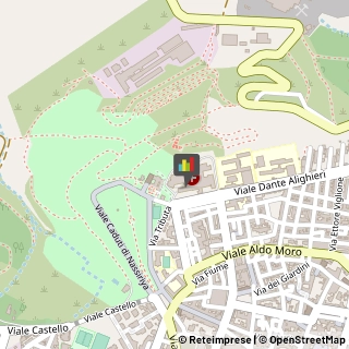 Pronto Soccorso,71036Foggia