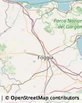 Agenzie di Animazione e Spettacolo Lucera,71036Foggia