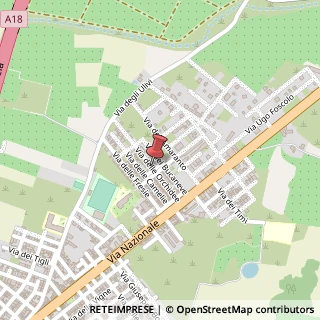 Mappa Via delle Orchidee,  22, 96100 Siracusa, Siracusa (Sicilia)