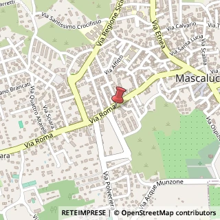 Mappa Via Roma, 167, 95030 Mascalucia, Catania (Sicilia)