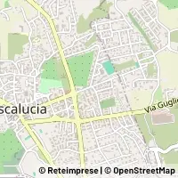 Kort Mascalucia