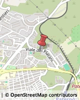 Viale dei Platani, 31,95047Paternò