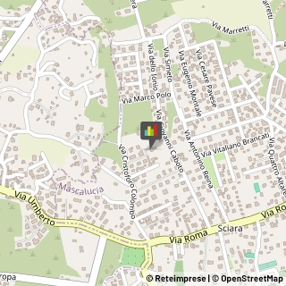 Camicie Mascalucia,95030Catania
