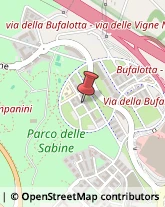 Via Stefano Madia, 67,00139Roma