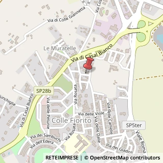 Mappa Via delle Campanule, 6, 00012 Aprilia, Latina (Lazio)