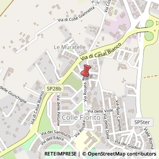 Mappa Via Rosata, 14, 00012 Guidonia Montecelio, Roma (Lazio)