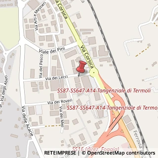 Mappa Via dei Lecci, 5, 86039 Termoli, Campobasso (Molise)