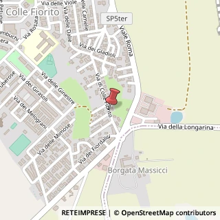 Mappa Via Colle Fiorito,  99, 00012 Guidonia Montecelio, Roma (Lazio)