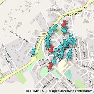 Mappa Via delle Petunie, 00012 Guidonia Montecelio RM, Italia (0.20407)