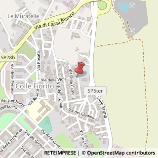 Mappa Via Dei Ciclamini, 31, 00012 Guidonia Montecelio, Roma (Lazio)