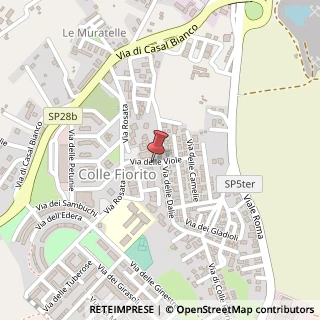 Mappa Via delle viole, 00012 Guidonia Montecelio, Roma (Lazio)