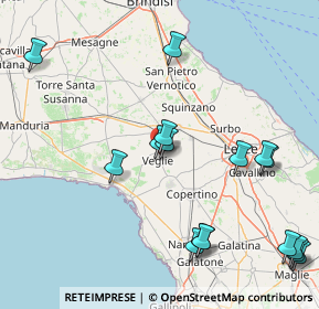 Mappa - z.i. di, 73010 Veglie LE, Italia (21.48375)