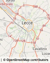 Associazioni e Federazioni Sportive Lecce,73100Lecce