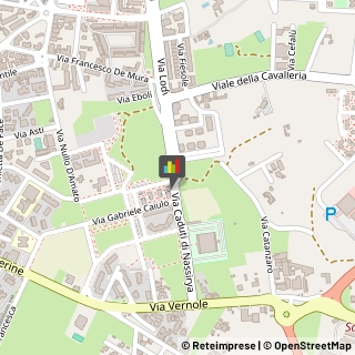Feste - Organizzazione e Servizi,73100Lecce