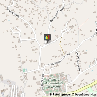 Panetterie Velletri,00049Roma