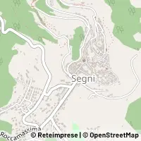 Kart Segni