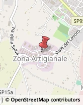 Viale degli Artigiani, 2,00045Genzano di Roma