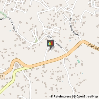 Pneumatici - Commercio Velletri,00049Roma