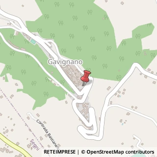 Mappa Via del Carmine, 8, 00030 Gavignano, Roma (Lazio)