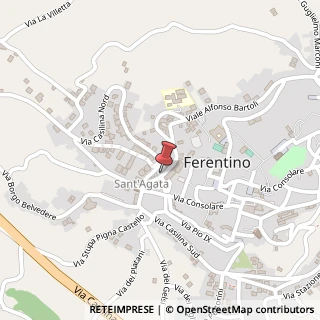 Mappa Viale Alfonso Bartoli, 9, 03013 Ferentino, Frosinone (Lazio)