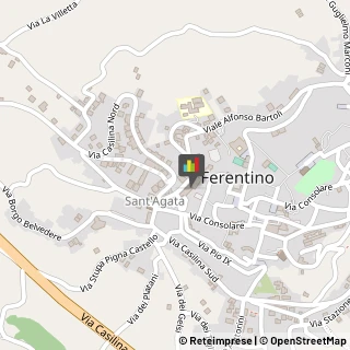 Palestre e Centri Fitness,03013Frosinone