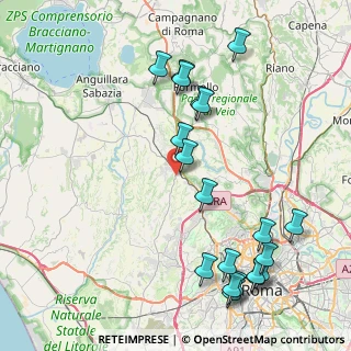 Mappa Viale Roberto Lerici, 00123 Roma RM, Italia (10.4615)