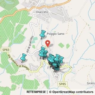 Mappa Località Pelago Casellina, 50060 Pelago FI, Italia (0.45556)