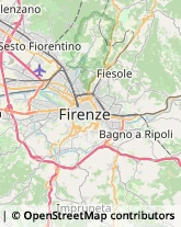 Ricerca Scientifica - Istituti Firenze,50125Firenze