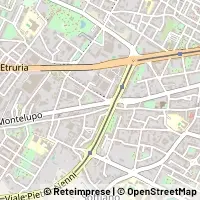 Kart Firenze