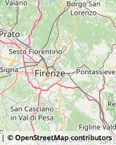 Articoli per Ortopedia Pontassieve,50065Firenze