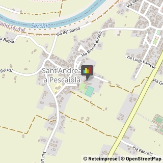 Feste - Organizzazione e Servizi San Giuliano Terme,56017Pisa