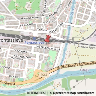 Mappa Piazza Alfredo e Carlo del Vivo, 1/3, 50065 Pontassieve, Firenze (Toscana)