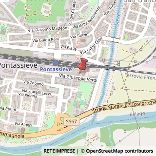 Mappa Piazza Alfredo e Carlo del Vivo, 15, 50065 Pontassieve, Firenze (Toscana)